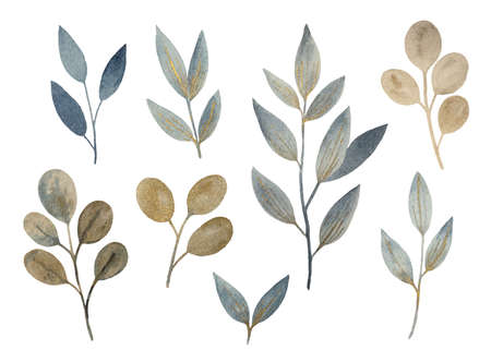 Golden and indigo watercolor painted abstract plant and leaves elements isolated on white background. High quality illustration.の写真素材