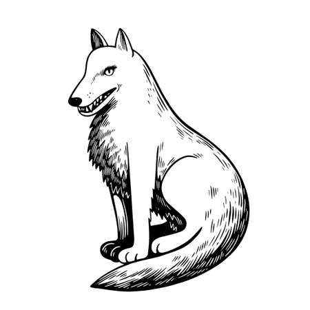 Black and white wolf in cute semirealistic cartoon style. Hand drawn line illustration. Vector illustrationのイラスト素材