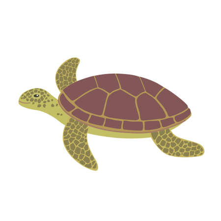 Cute cartoon sea turtle isolated on white background. Hand drawn vector illustration.のイラスト素材