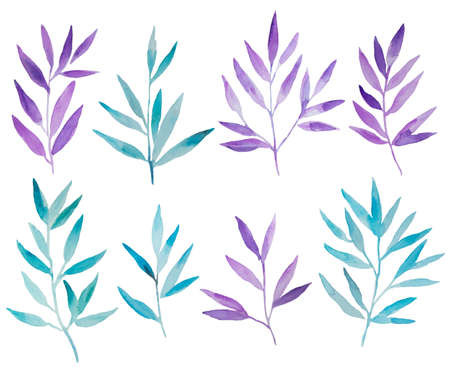 Watercolor blue and purple branches isolated on white background. Hand painted design elements for decor and invitations. High quality illustration.の写真素材