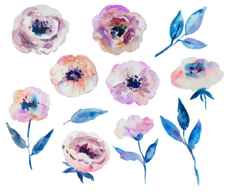 Watercolor spring garden anemone flowers and leaves isolated on white background. Collection of hand drawn design elements. High quality illustrationの写真素材
