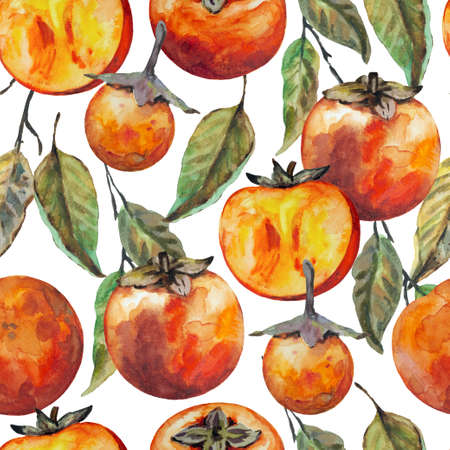Seamless pattern with hand drawn persimmon fruits, isolated on white background. Watercolor painting. . High quality illustrationの写真素材