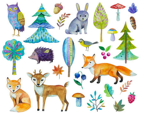Big set of cute forest animals, trees, birds and plants. Watercolor clip art collection for nursery baby and children design. . High quality illustration.の写真素材