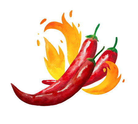 Watercolor painted red hot chili peppers with fire flames isolated on white background. Design element for menu and restaurants. Illustrationの写真素材