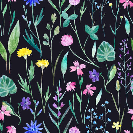 Watercolor seamless pattern with wild meadow flowers. Original hand drawn nature print for decor and textile design. Aquarelle paintingの写真素材