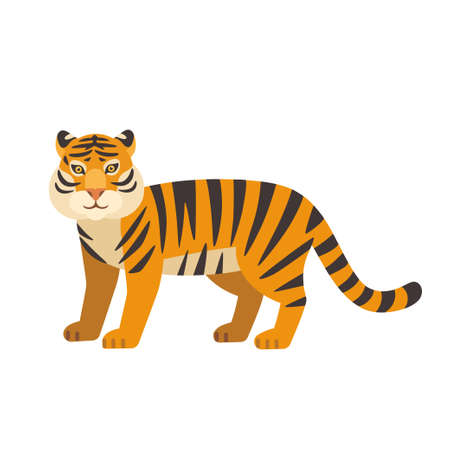 Cute wild tiger isolated on white background. Vector hand drawn illustration.のイラスト素材