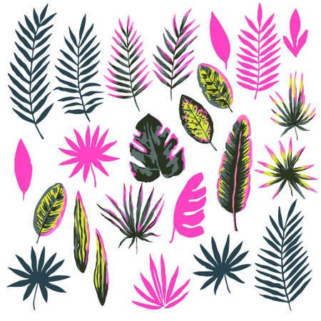 Set of artistic colorful modern tropical leaves and plants, isolated on white background. Vector illustrationのイラスト素材