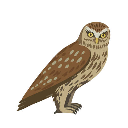 Vector cartoon little owl isolated on white background. Hand drawn illustrationのイラスト素材