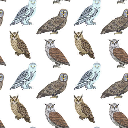 Seamless pattern with cute owls for design and textile. Vector illustrationのイラスト素材