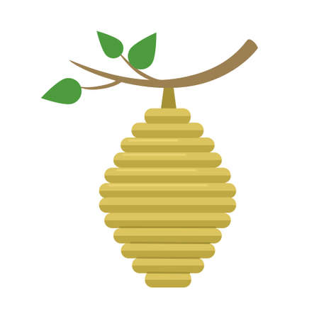 Beehive isolated on white background. House of wild bees on tree branch. Vector illustrationのイラスト素材