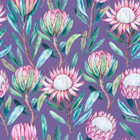 Seamless pattern with hand painted watercolor realistic protea flowers. Hand painted texture for design and decor.の写真素材