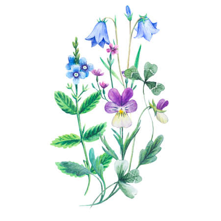 Watercolor painted realistic bouquete of meadow flowers isolated on white background. High quality botanical illustration.の写真素材