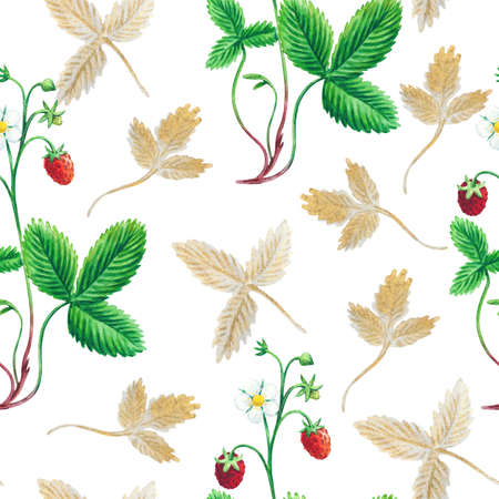 Watercolor seamless pattern with wild forest strawberries for fabric and design.の写真素材