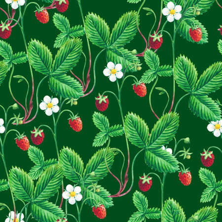 Watercolor seamless pattern with wild forest strawberries for fabric and design.の写真素材