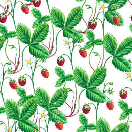 Watercolor seamless pattern with wild forest strawberries for fabric and design.の写真素材