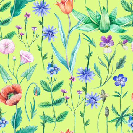 Seamless watercolor floral pattern with wild field and meadow plants. Hand painted texture for design and textile.の写真素材