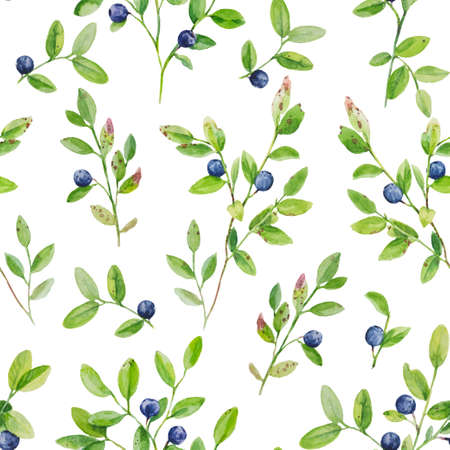 Watercolor illustration of blueberry branches with ripe berries. Seamless pattern with hand drawn realistic elements.の写真素材