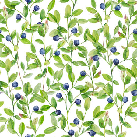 Watercolor illustration of blueberry branches with ripe berries. Seamless pattern with hand drawn realistic elements.の写真素材