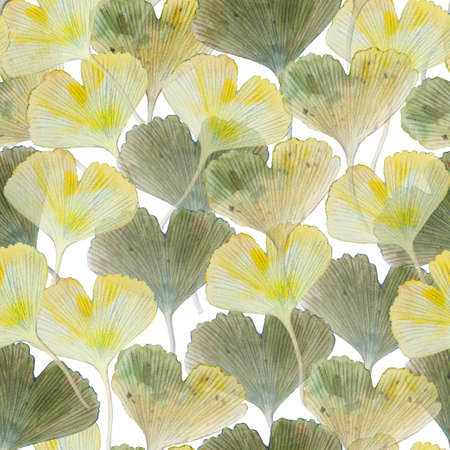 Abstract texture with hand painted ginkgo leaves. Watercolor elegant seamless pattern.の写真素材