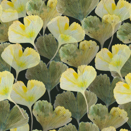 Abstract texture with hand painted ginkgo leaves. Watercolor elegant seamless pattern.の写真素材