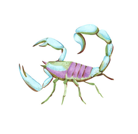 Illustration of scorpion in watercolor style isolated on white background. Detailed colorful drawing.の写真素材