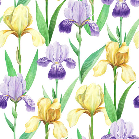 Seamless pattern with realistic detailed iris flowers in vintage retro style for fabric scrapbook and design.の写真素材