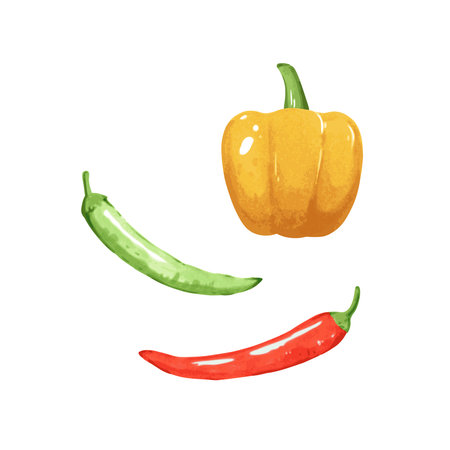 Illustration of chili pepper and paprika in hand drawn simple cartoon watercolor style isolated on white background. Vector element for design.のイラスト素材