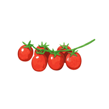 Illustration of cherry tomato in hand drawn simple cartoon watercolor style isolated on white background. Vector element for design.のイラスト素材