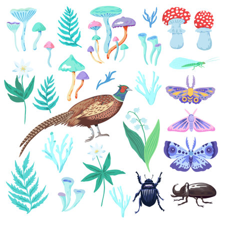 Set of clip art of forest plants, birds and insects. Magical colorful mushrooms and vector nature elements for design.のイラスト素材