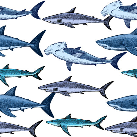Seamless pattern with various sharks, great white shark, hammerhead shark and other. Vector illustration in engraving vintage style.のイラスト素材