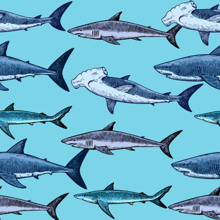 Seamless pattern with various sharks, great white shark, hammerhead shark and other. Vector illustration in engraving vintage style.のイラスト素材