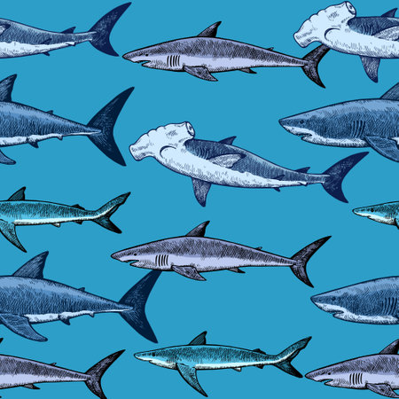 Seamless pattern with various sharks, great white shark, hammerhead shark and other. Vector illustration in engraving vintage style.のイラスト素材