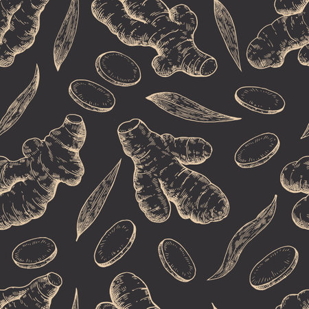Set of ginger roots in engraving style. Black and white ink illustration. Vector printのイラスト素材