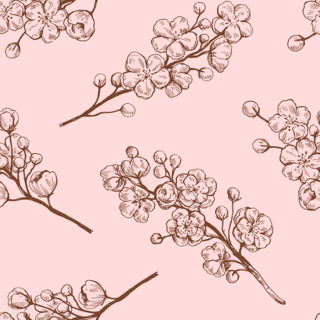 Sakura blooming branches. Black and white outline ink drawing. Vector illustration.のイラスト素材