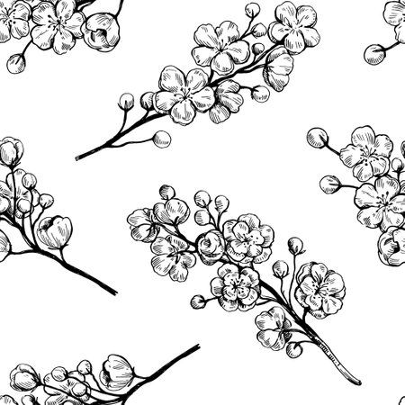 Sakura blooming branches. Black and white outline ink drawing. Vector illustration.のイラスト素材