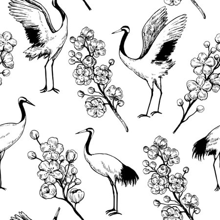 Seamless pattern with sakura blooming branches and dancing japanese cranes. Black and white outline ink drawing. Vector illustration.のイラスト素材