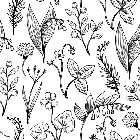 Seamless pattern whit line botanical elements. Outline vector contour illustration of wild forest plants, flowers and berries.のイラスト素材