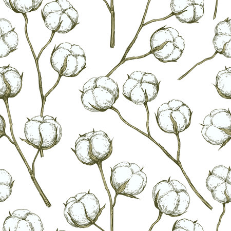 Vector seamless pattern with cotton branches. Hand-drawn ink illustration.のイラスト素材