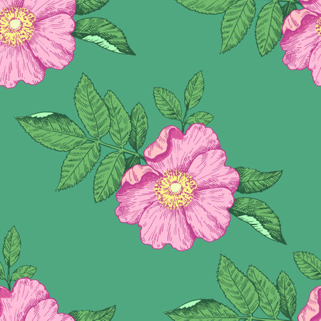 Seamless pattern with wild rose flowers. Vector illustration in retro detailed style.のイラスト素材