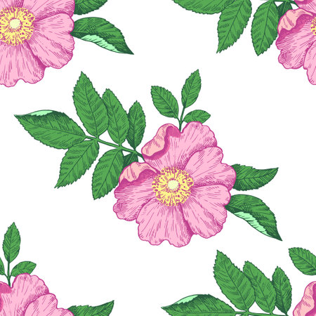 Seamless pattern with wild rose flowers. Vector illustration in retro detailed style.のイラスト素材
