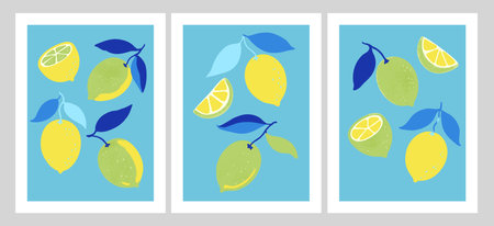 Collection of contemporary art posters with lemon fruits. Vector illustration in bold minimalistic style.のイラスト素材