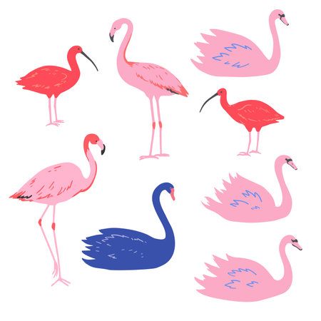 Set of pink flamingo and swans and red ibis in minimalistic style. Vector illustration.のイラスト素材