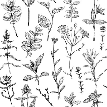 Seamless pattern with wild plants and flowers, vector illustration in engraving style.のイラスト素材