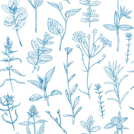 Seamless pattern with wild plants and flowers, vector illustration in engraving style.のイラスト素材