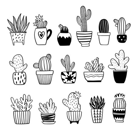 Set of cactus and succulents, line art black and white vector illustration.のイラスト素材