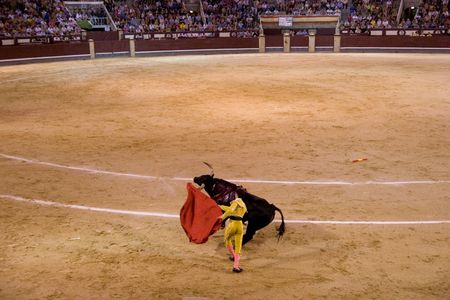 MADRID - August 8: The torero Antonio Espaliu fights a bull named Colgado in the Las Ventas bullring on August 8, 2010 in Madrid, Spain.のeditorial素材