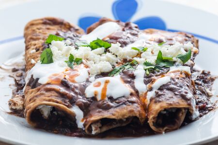 Vegetarian Mexican food, enfrijoladas. A type of enchilada dish of fresh cheese wrapped in corn...