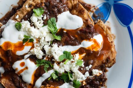 Vegetarian Mexican food, enfrijoladas. A type of enchilada dish of fresh cheese wrapped in corn tortilla and bathed in a spicy black bean sauce, topped with cream, cheese, spicy sauce and cilantroの写真素材