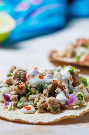 Vegetarian vegan ceviche on toasted tortillas. Mexican ceviche made of texturized vegetable protein with lime juice, jalapeno, onion and cilantro. Healthy vegetarian cuisine.の写真素材