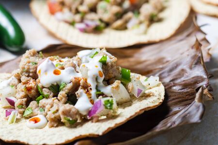 Vegetarian vegan ceviche on toasted tortillas. Mexican ceviche made of texturized vegetable protein with lime juice, jalapeno, onion and cilantro. Healthy vegetarian cuisine.の写真素材